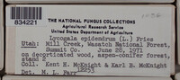 Image Associated With the Occurence